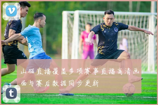 山猫直播覆盖多项赛事直播高清画面与赛后数据同步更新