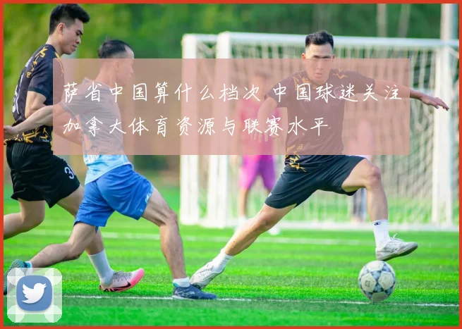 萨省中国算什么档次 中国球迷关注加拿大体育资源与联赛水平